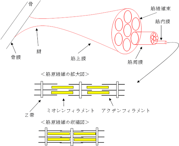 ７月１週