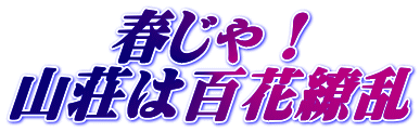 春じゃ！ 山荘は百花繚乱