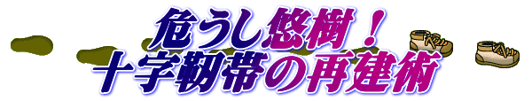 危うし悠樹！ 十字靭帯の再建術