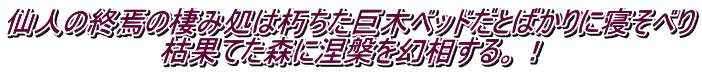 仙人の終焉の棲み処は朽ちた巨木ベッドだとばかりに寝そべり 枯果てた森に涅槃を幻相する。！