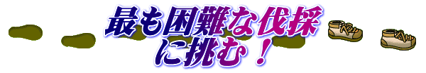 最も困難な伐採 に挑む!
